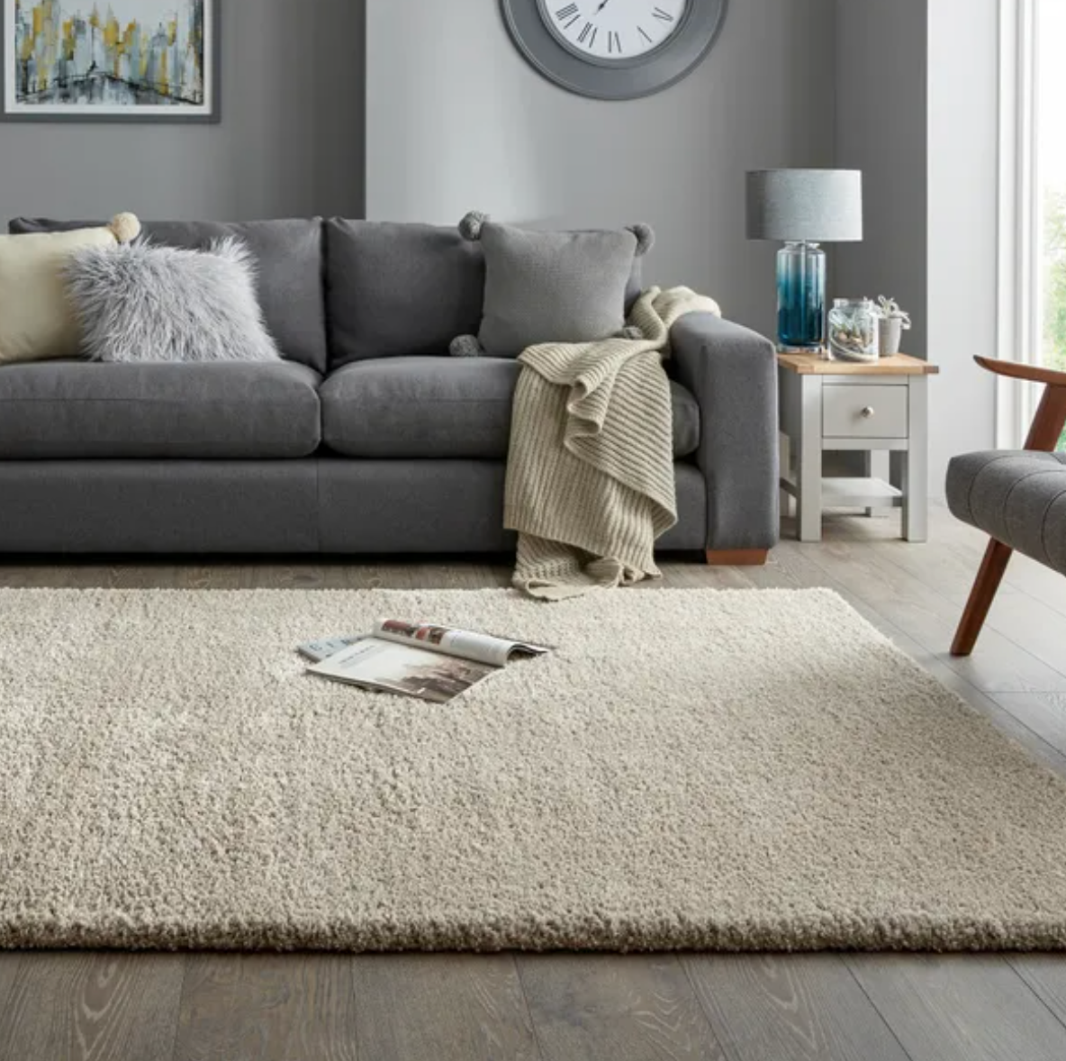 Cosy Soft Shaggy Rug